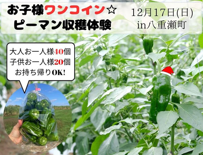ちゅらマルシェ