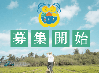 【募集定員300名】話題のボランティアツアーで島ライフ満喫♪モニターツアー費用の7割を県が助成する「島まーる推進事業」