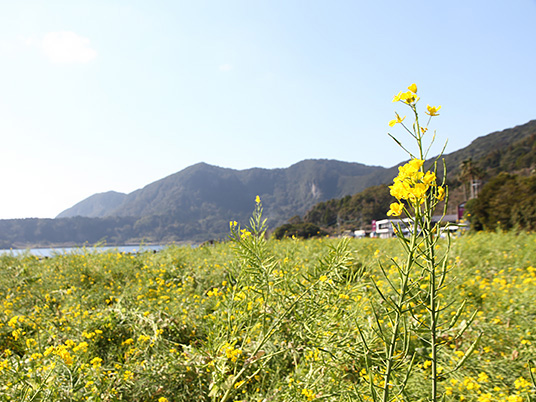 ココロに“おいしい”絶景巡りの画像