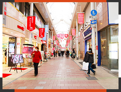 市内・桜島エリアの画像