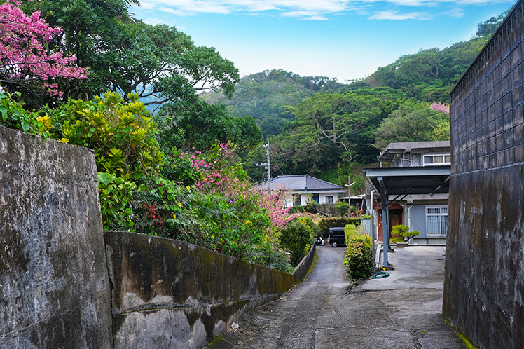 自然に囲まれたやんばるの原風景が色濃く残る本部町