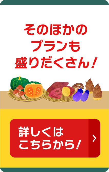 ほかのプランも盛りだくさん！くわしくはこちらから