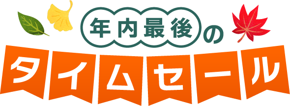 今年最後のタイムセール