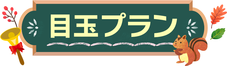 目玉プラン