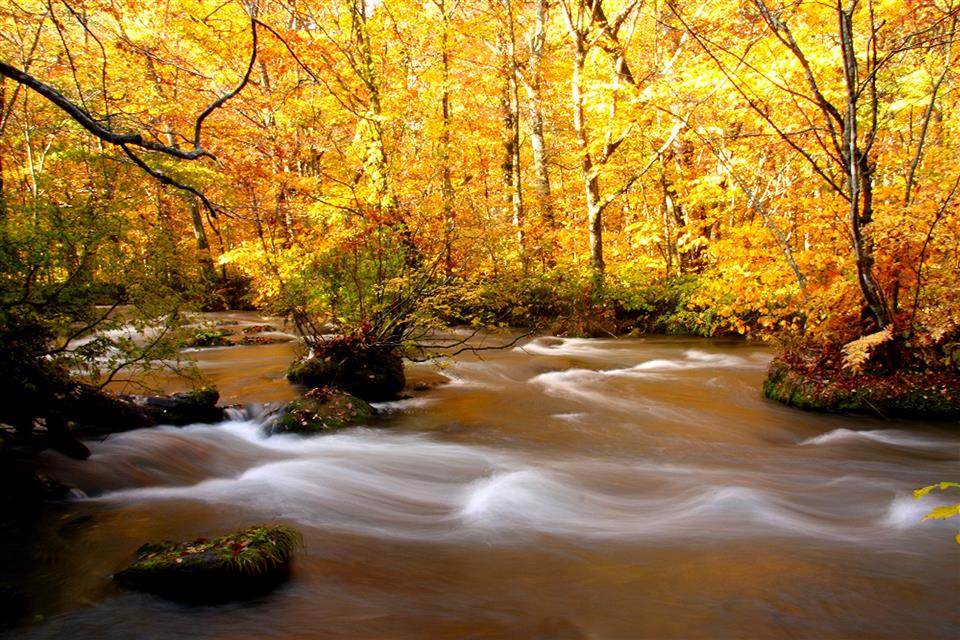 紅葉三昧の3日間！奥入瀬渓流や十和田湖観光、りんご風呂にねぶたなど ...