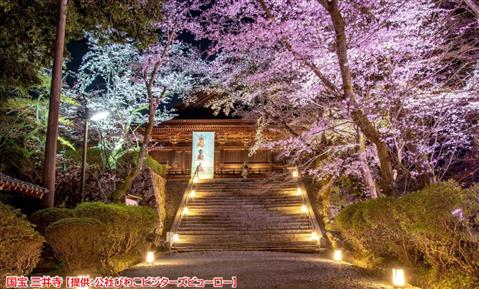 三井寺ライトアップ