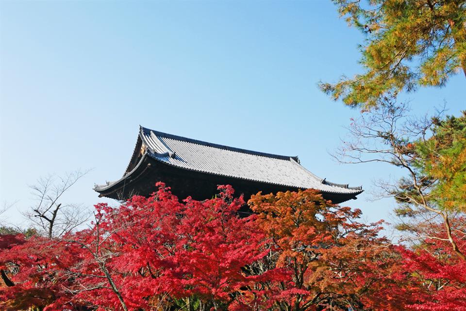 京都 滋賀 紅く彩る京都と保津川下り3日間 ちゅらとくツアー予約 京都 滋賀 紅く彩る京都と保津川下り3日間 ちゅらとくツアー予約