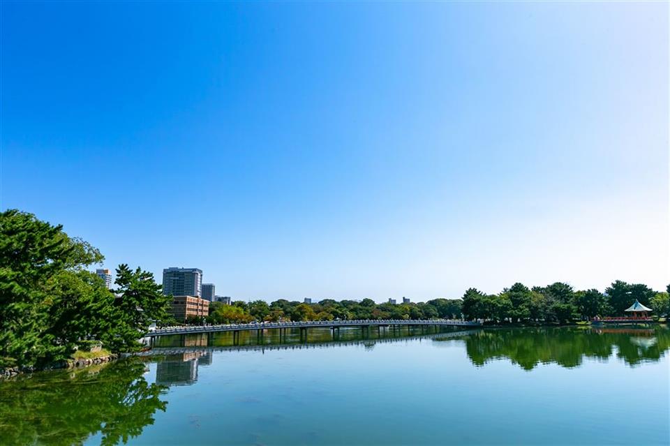 九州(沖縄を除く)・山口県 送料無料‼】✧大容量収納✧8杯