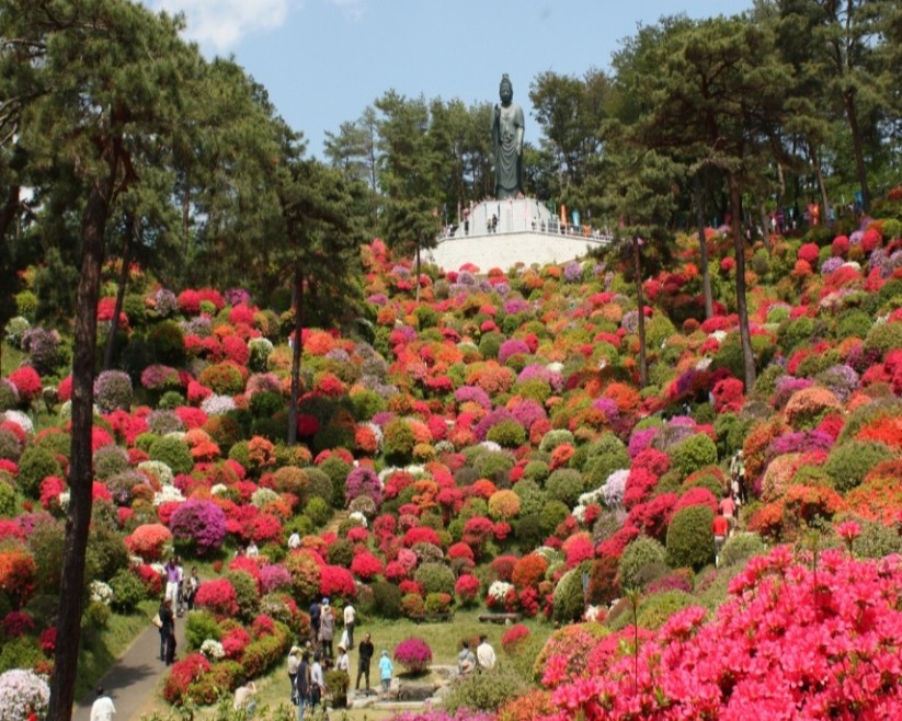 つつじ見頃：例年４月上旬～５月上旬