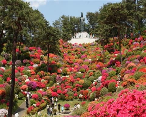 つつじ見頃：例年４月上旬～５月上旬