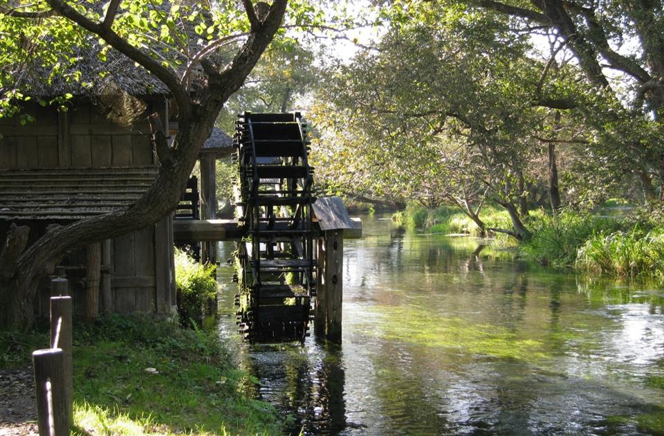大王わさび農場　