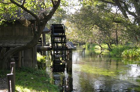 大王わさび農場　