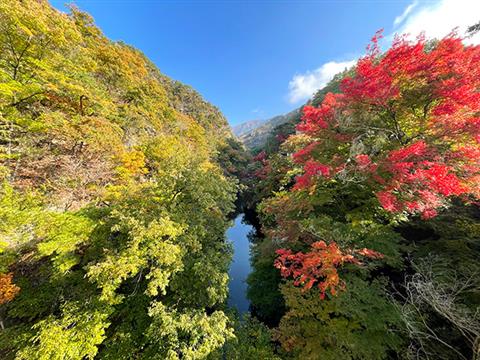 昇仙峡の紅葉